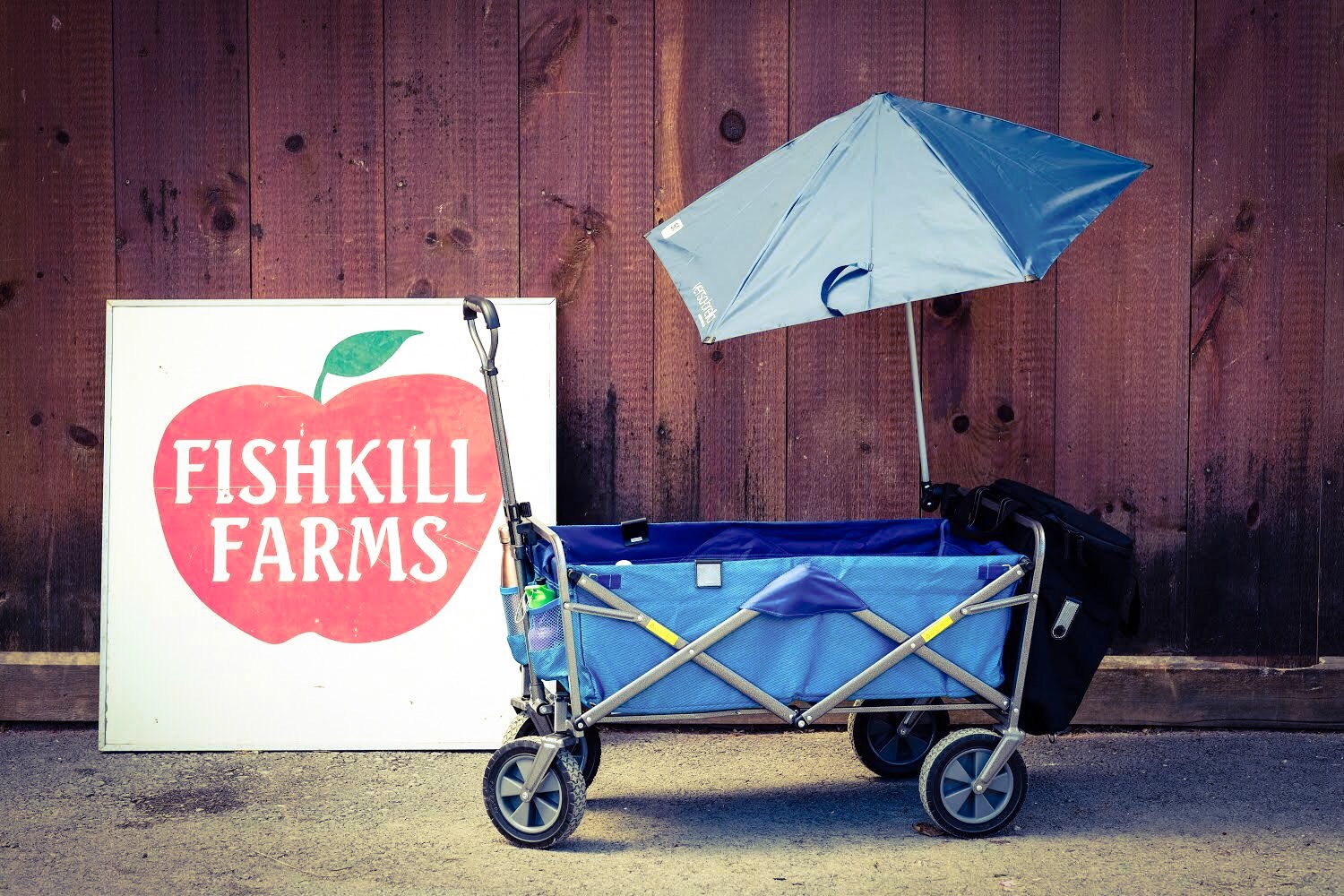 DIY Kid Utility Wagon with Umbrella