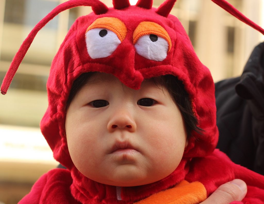 Lil Lobster Infant/Toddler Costume 