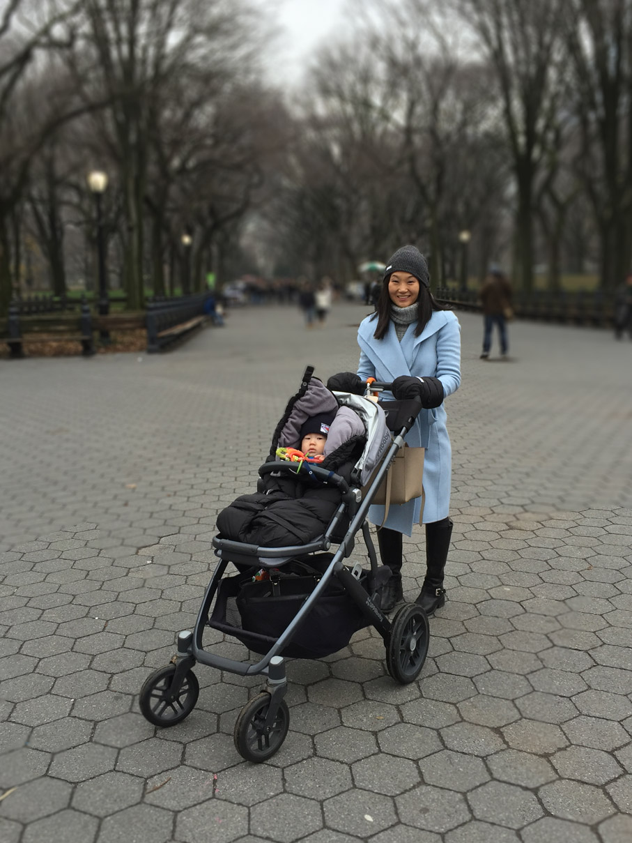 uppababy vista in snow