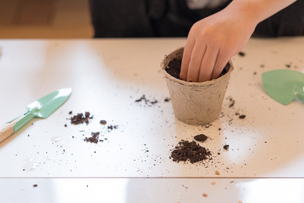 Indoor Gardening Activities For Kids