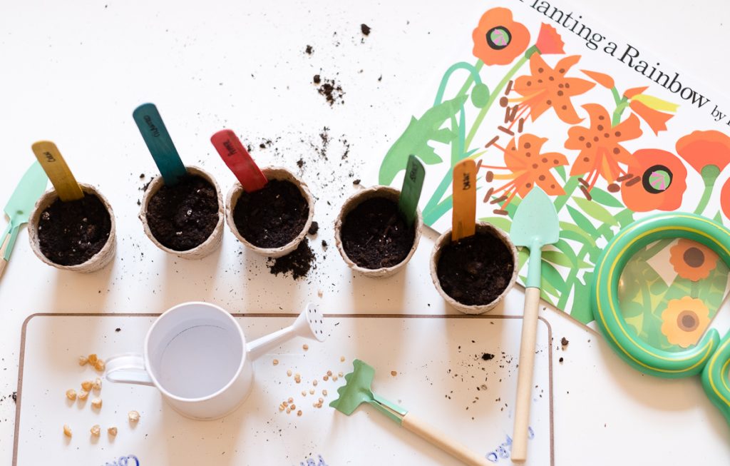 Indoor Gardening Activities For Kids