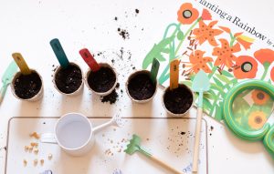 Indoor Gardening Activities For Kids 12