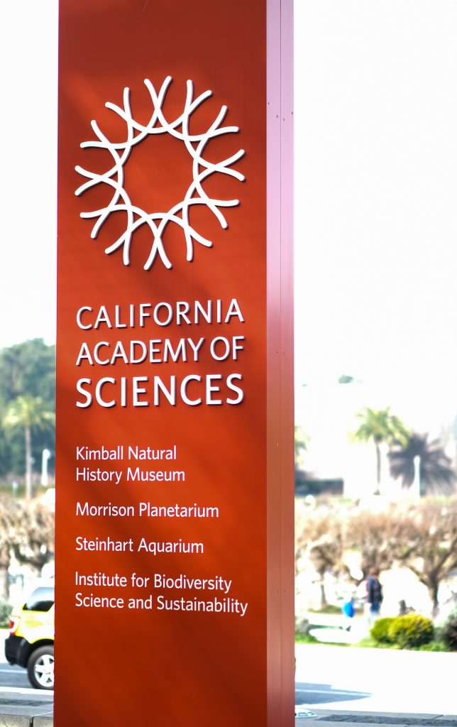 San Francisco Travel With Kids - CA Academy of Sciences