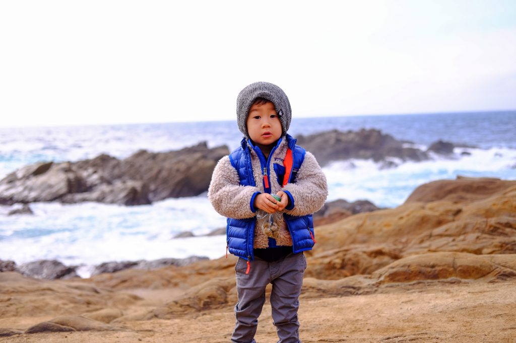 Monterey Bay Peninsula Attractions For Kids 10