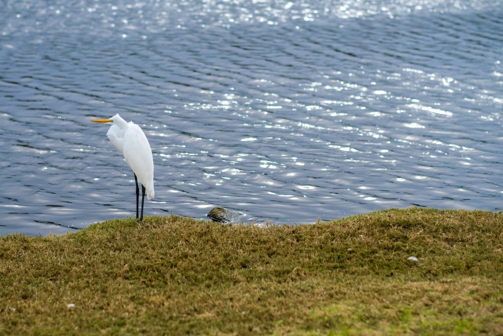 Monterey Bay Peninsula Attractions For Kids 21