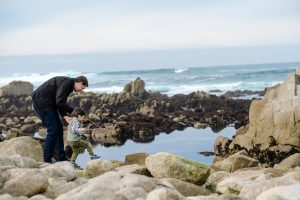 Monterey Bay Peninsula Attractions For Kids 5