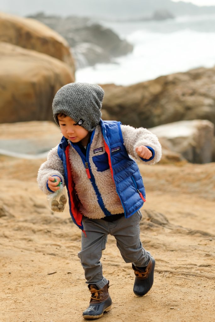 Monterey Bay Peninsula Attractions For Kids 6