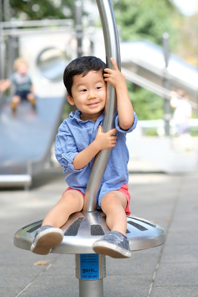 Central Park Playgrounds