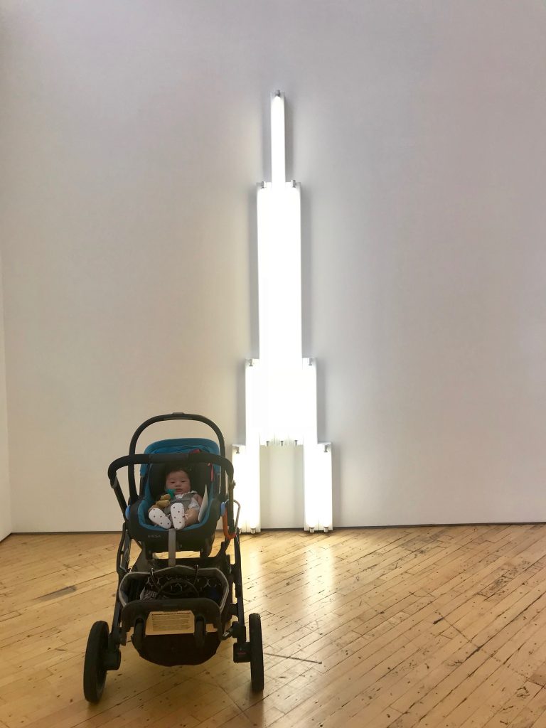 Dia Beacon Flavin