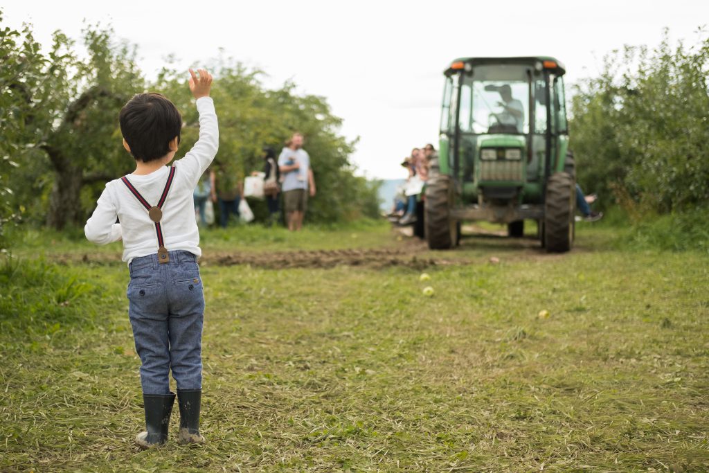 Apple Picking Family Adventures