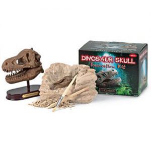 Geocentral Excavation Dig Kit Dino Skull1