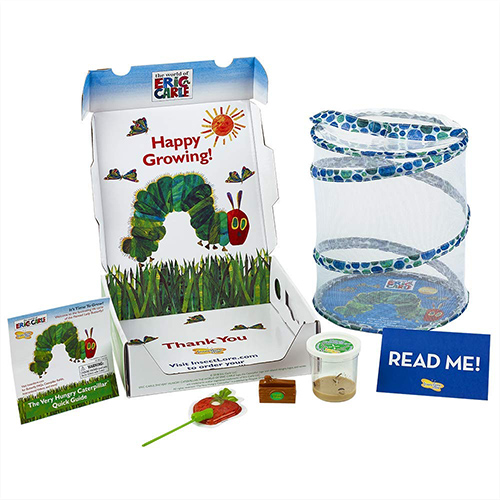 The Very Hungry Caterpillar Butterfly Growing Kit With Live Caterpillars 1