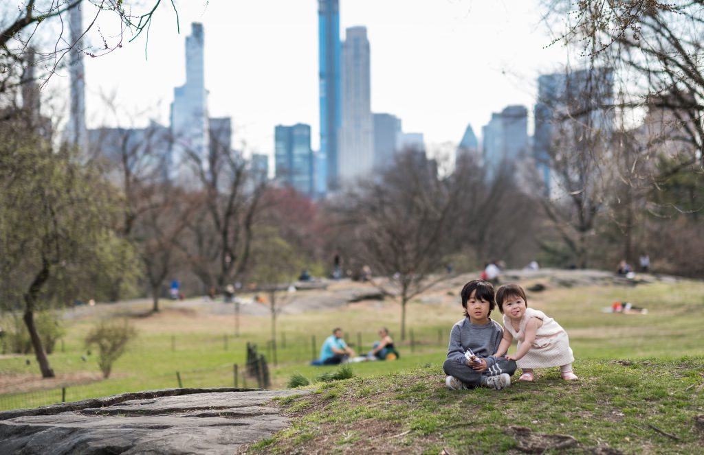 Central Park picnic spots