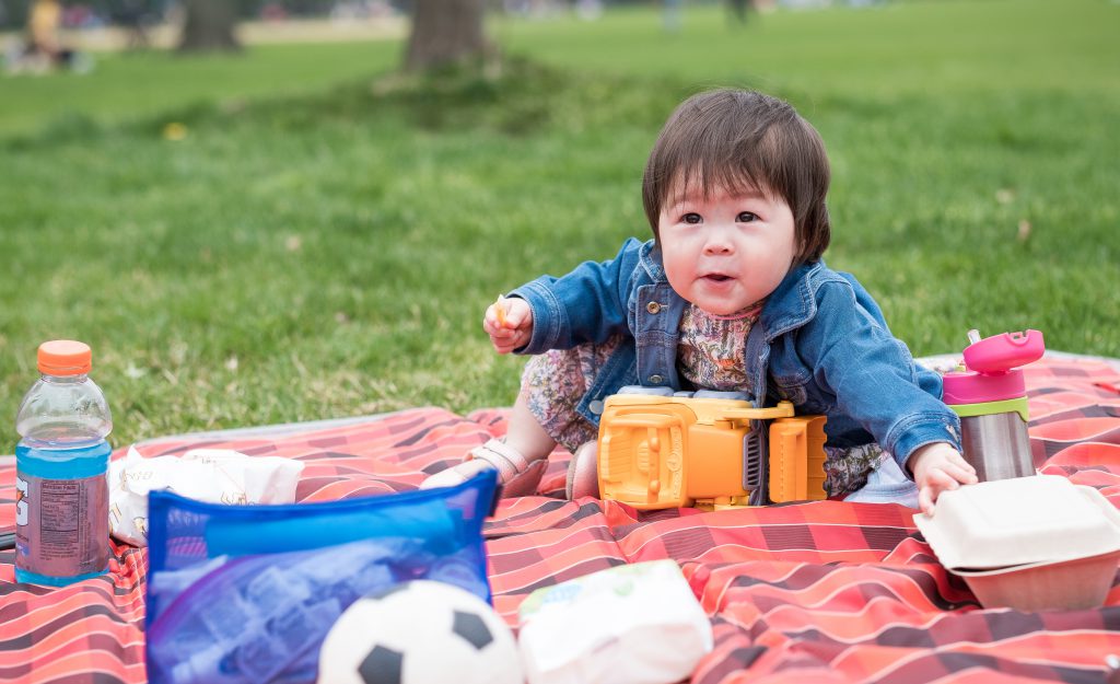 Central Park Picnic 2