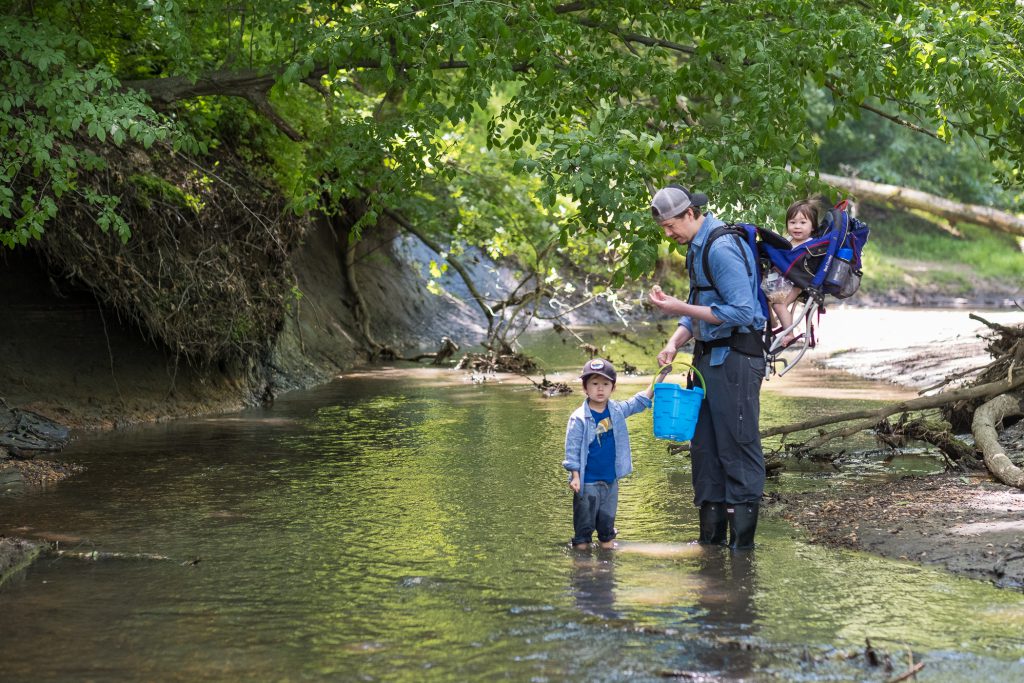 A Jurassic Daytrip: Fossil Hunting in Big Brook Preserve, New Jersey - Bash  & Co.